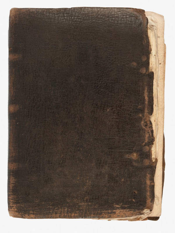 The Manuscripts of Luis de Carvajal